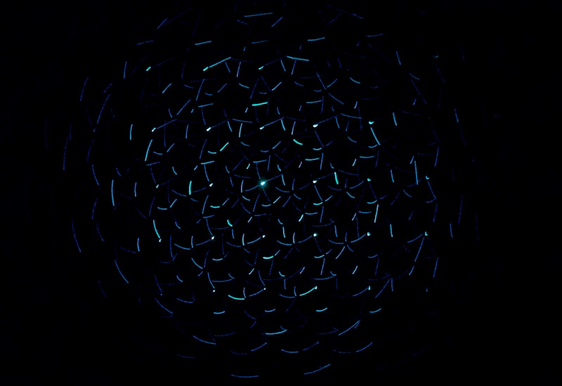 Dálnice v Jihomoravském kraji